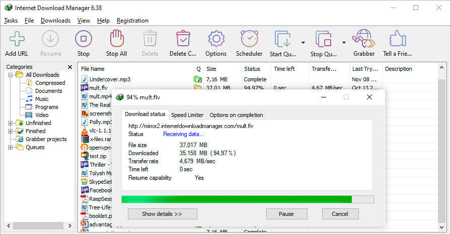 Internet Download Manager 主界面截图
